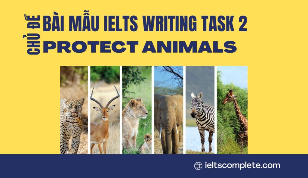 Bài mẫu band 7.5+ chủ đề Protect Animals IELTS Writing Task 2